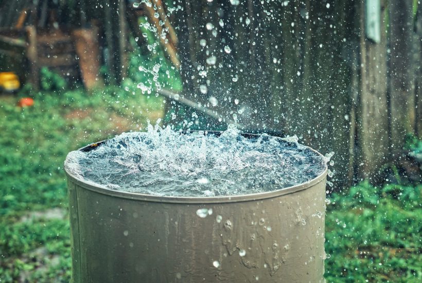 Easy Ways to Weatherproof Your Garden Before the Next Storm